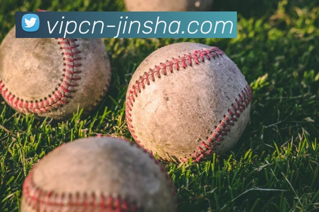 澳门金沙官网平台生态图